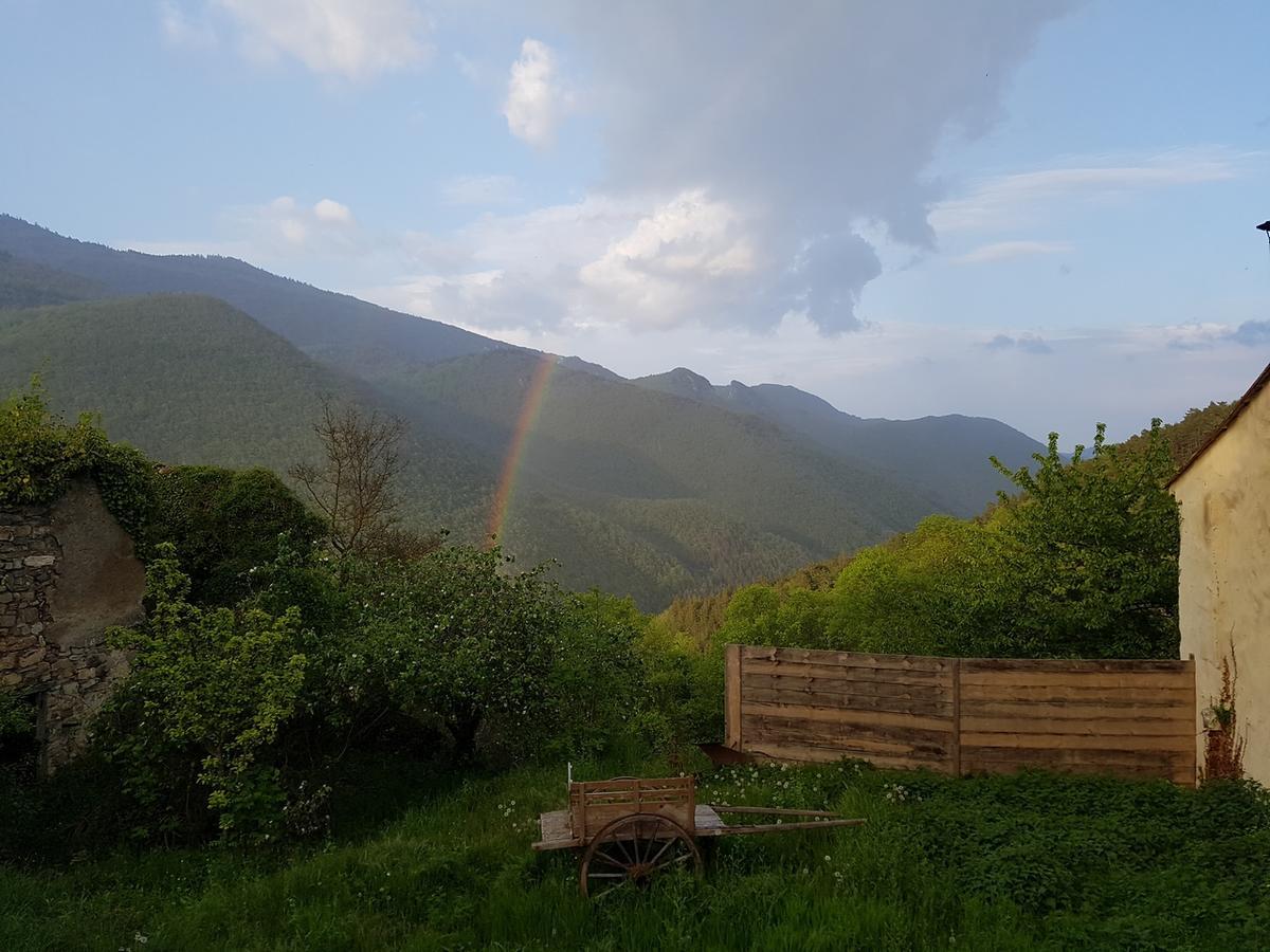 Domaine Des Massols Bed & Breakfast Marsat Dış mekan fotoğraf